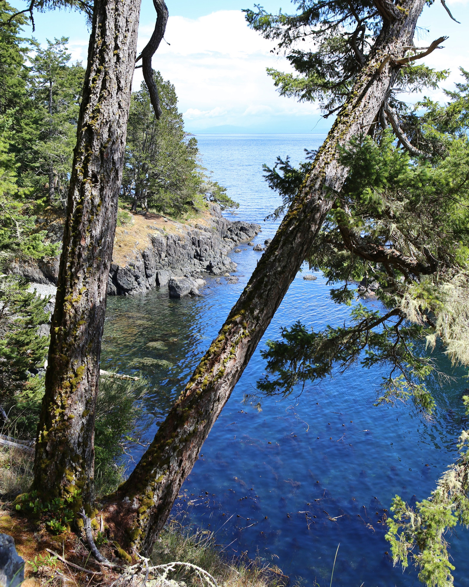 Canon EOS 6D + Canon EF 24-70mm F2.8L USM sample photo. Lost coast photography