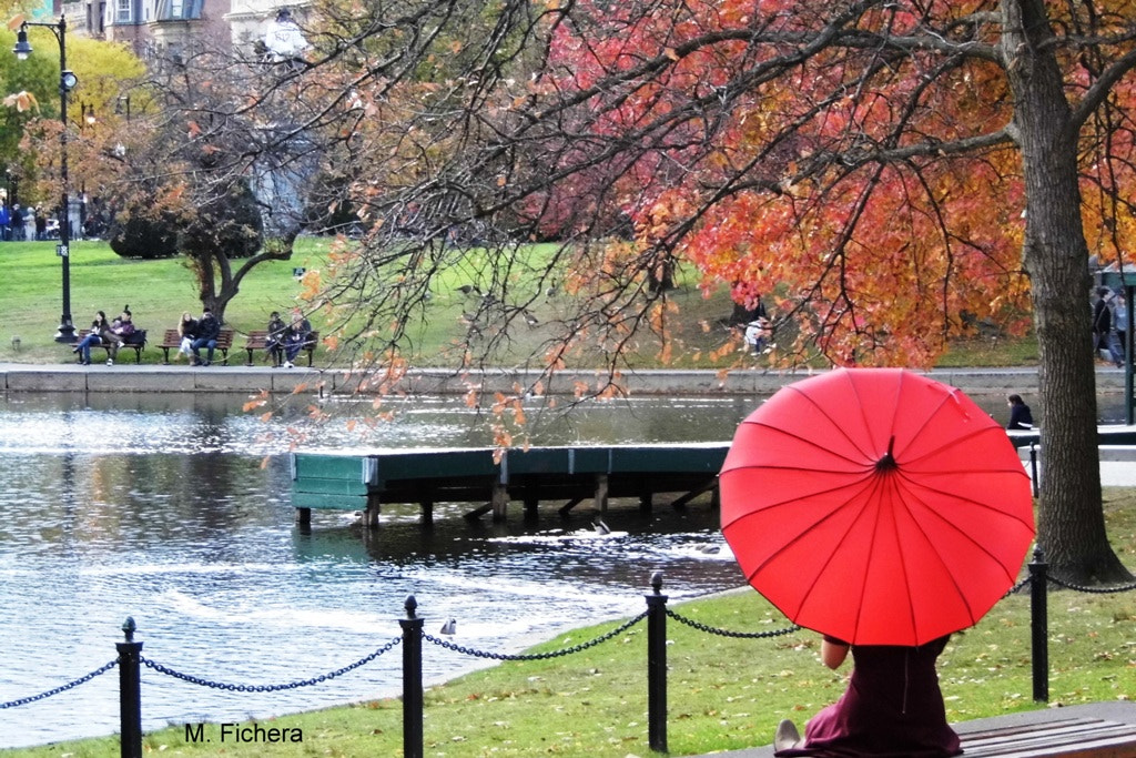 Panasonic Lumix DMC-LZ30 sample photo. The red umbrella photography