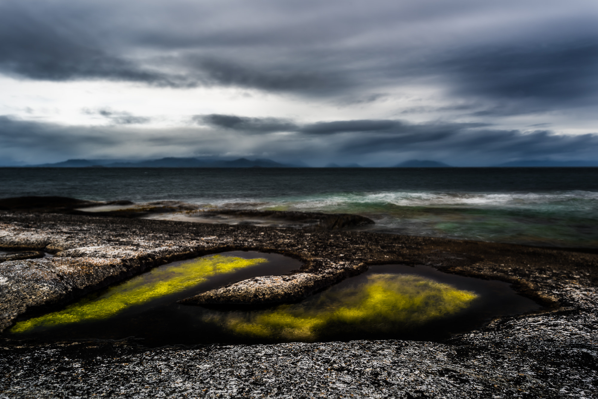 Nikon D810 sample photo. Seaweed puddle  photography