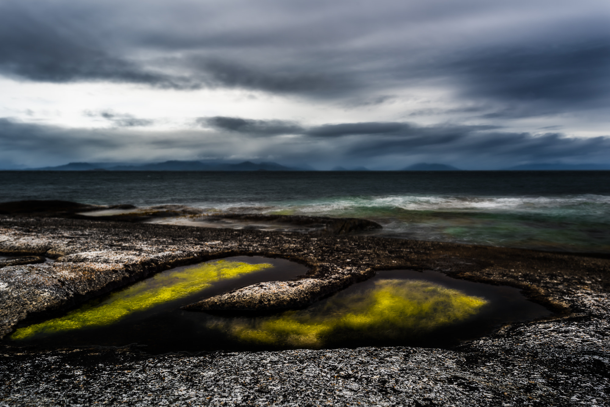 Nikon D810 + Nikon PC-E Nikkor 24mm F3.5D ED Tilt-Shift sample photo. Seaweed puddle  photography