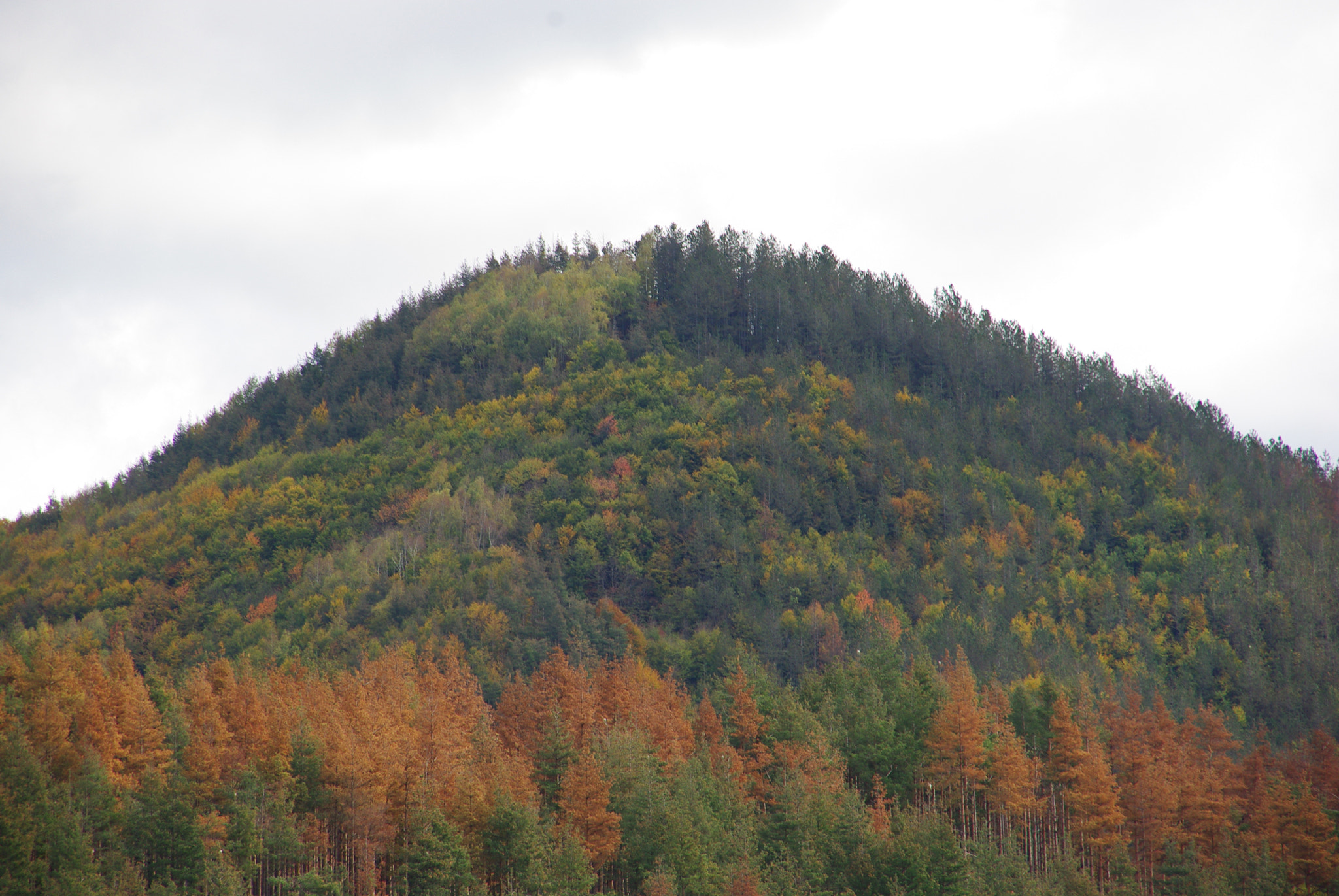 Pentax K-m (K2000) + Sigma 18-200mm F3.5-6.3 DC sample photo. Mountain photography