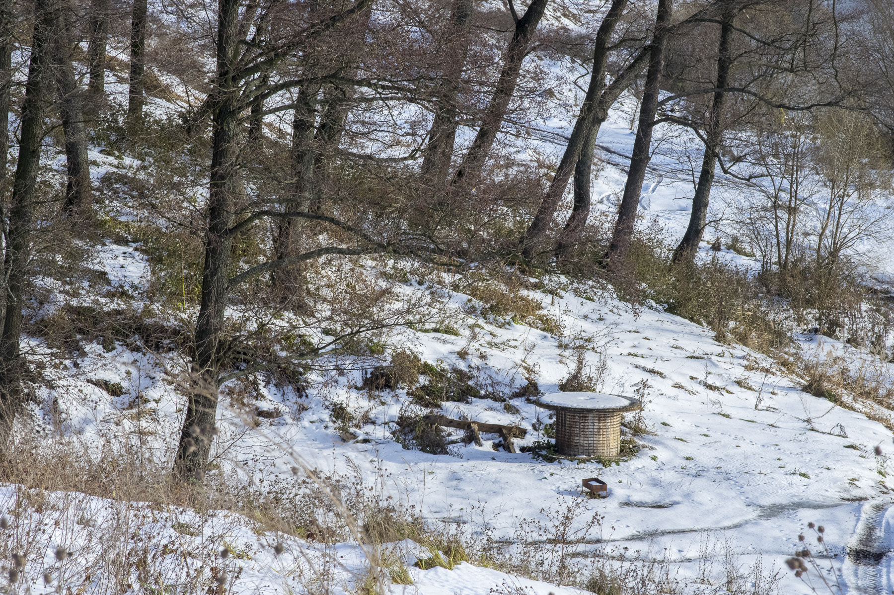 Pentax smc FA 77mm 1.8 Limited sample photo. Picnic place photography