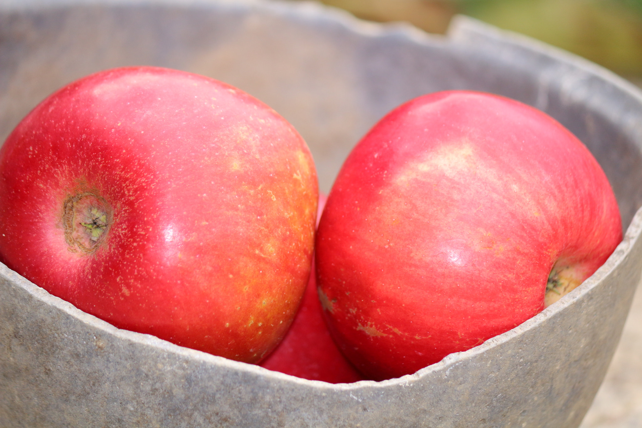 Canon EF-S 55-250mm F4-5.6 IS II sample photo. Apples photography