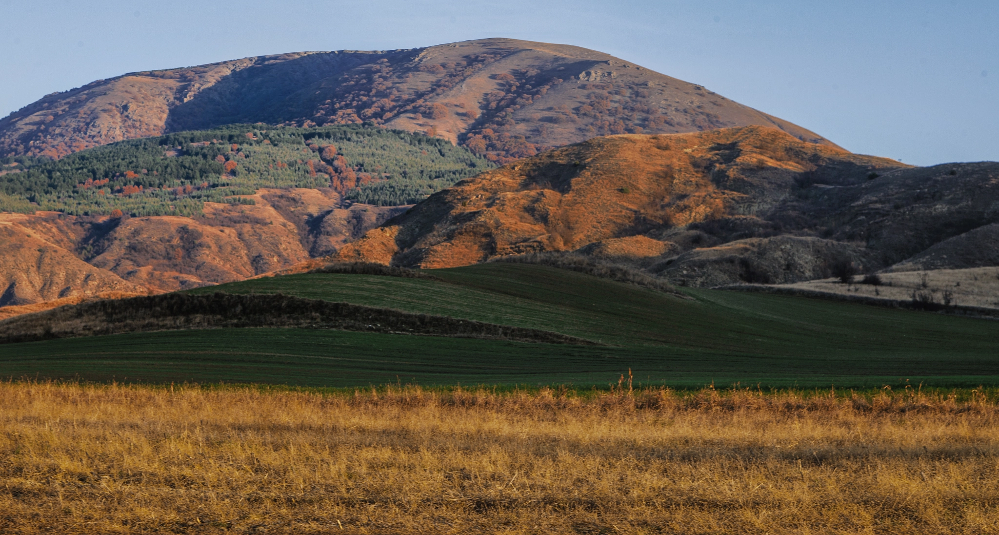 EF28-70mm f/2.8L USM sample photo. Natural divider photography