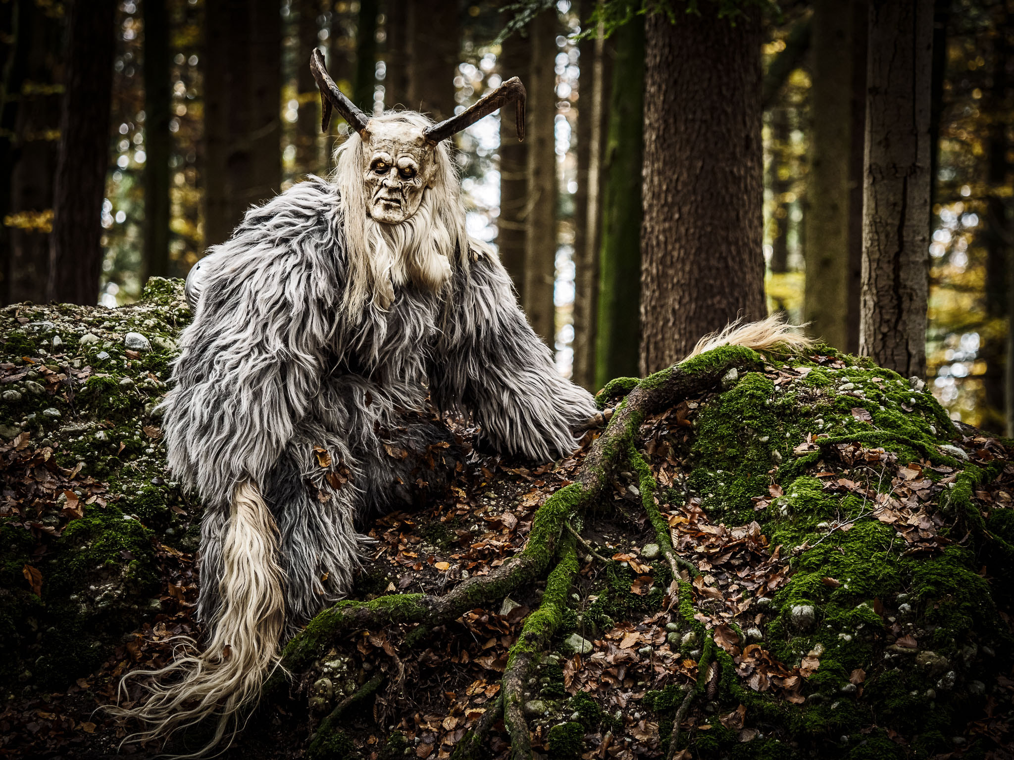 Olympus OM-D E-M1 sample photo. Krampussssss photography
