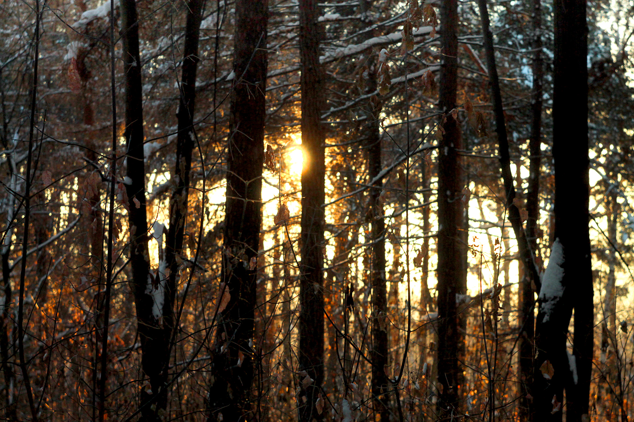 Canon EF 35-80mm f/4-5.6 sample photo. Escape photography