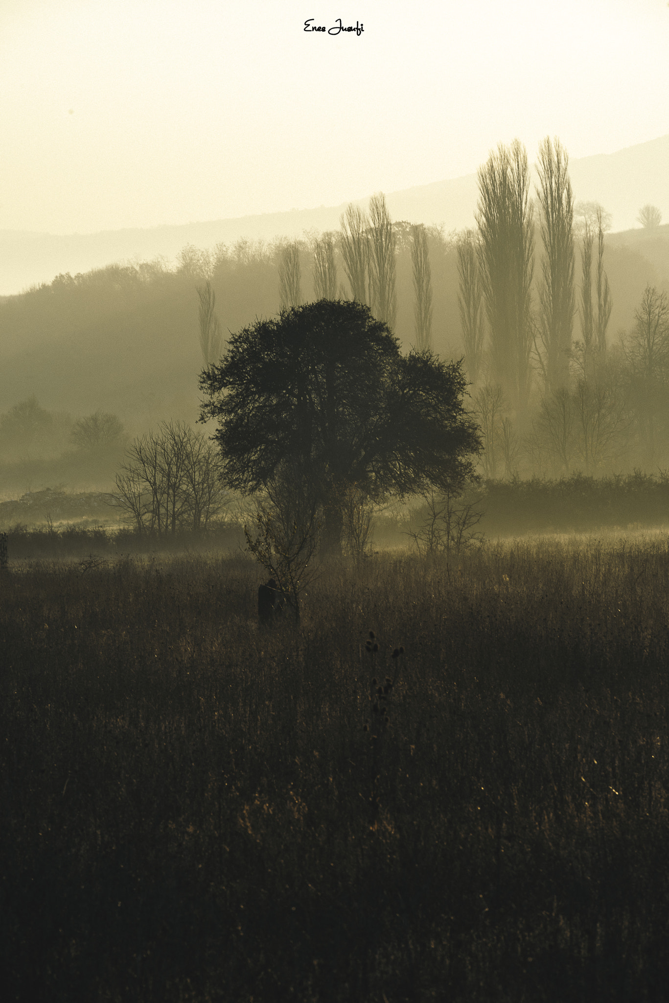 Sigma 70-200mm F2.8 EX DG OS HSM sample photo. "the gloomy morning" photography