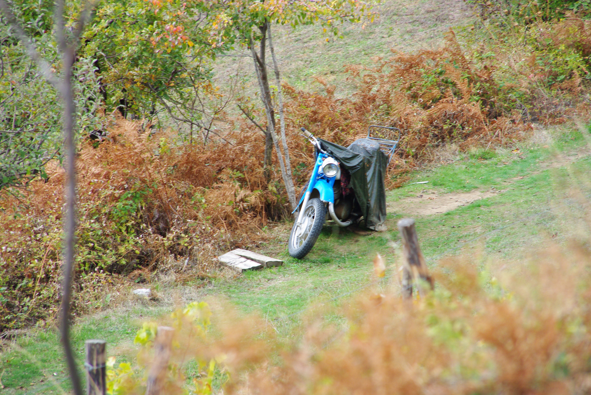 Pentax K-m (K2000) + Sigma 18-200mm F3.5-6.3 DC sample photo. Old but strong! photography