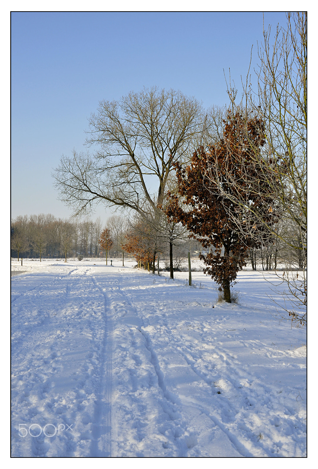 Nikon AF-S DX Micro Nikkor 40mm F2.8 sample photo. Tracks in snow photography