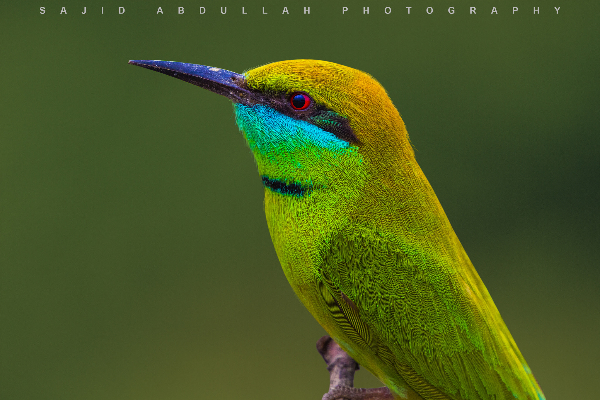 Canon EOS 5DS R sample photo. Colors of nature! photography