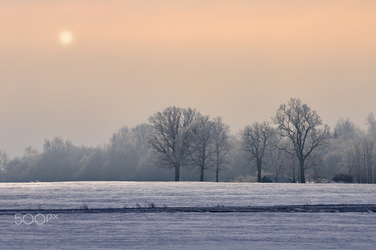 Nikon D300S sample photo. Not ordinary winter landscape photography