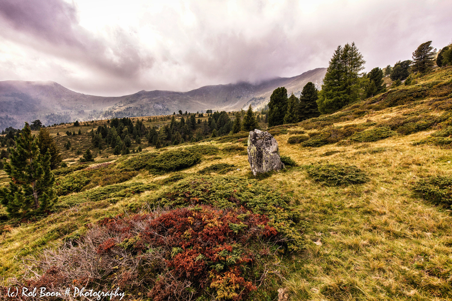 Canon EF 16-35mm F4L IS USM sample photo. Nockalmstrasse 2 photography