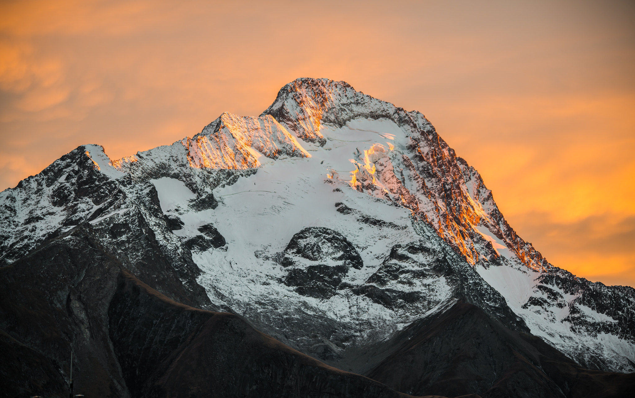 La muzelle - Les Deux Alpes