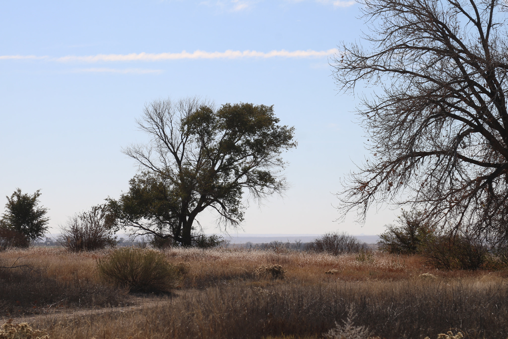 Canon EOS 760D (EOS Rebel T6s / EOS 8000D) sample photo. Prairie photography