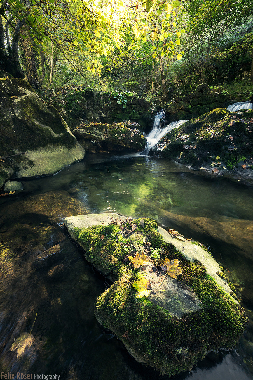 Canon EF 11-24mm F4L USM sample photo. Verdant flow photography