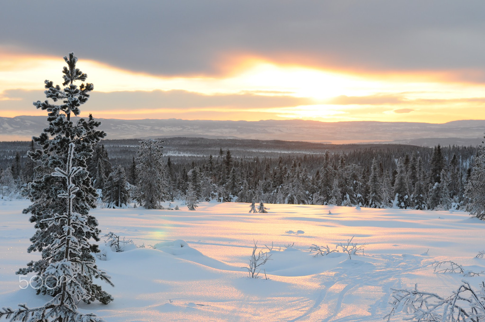 Nikon D300S sample photo. Sunset stenfjellhytta photography