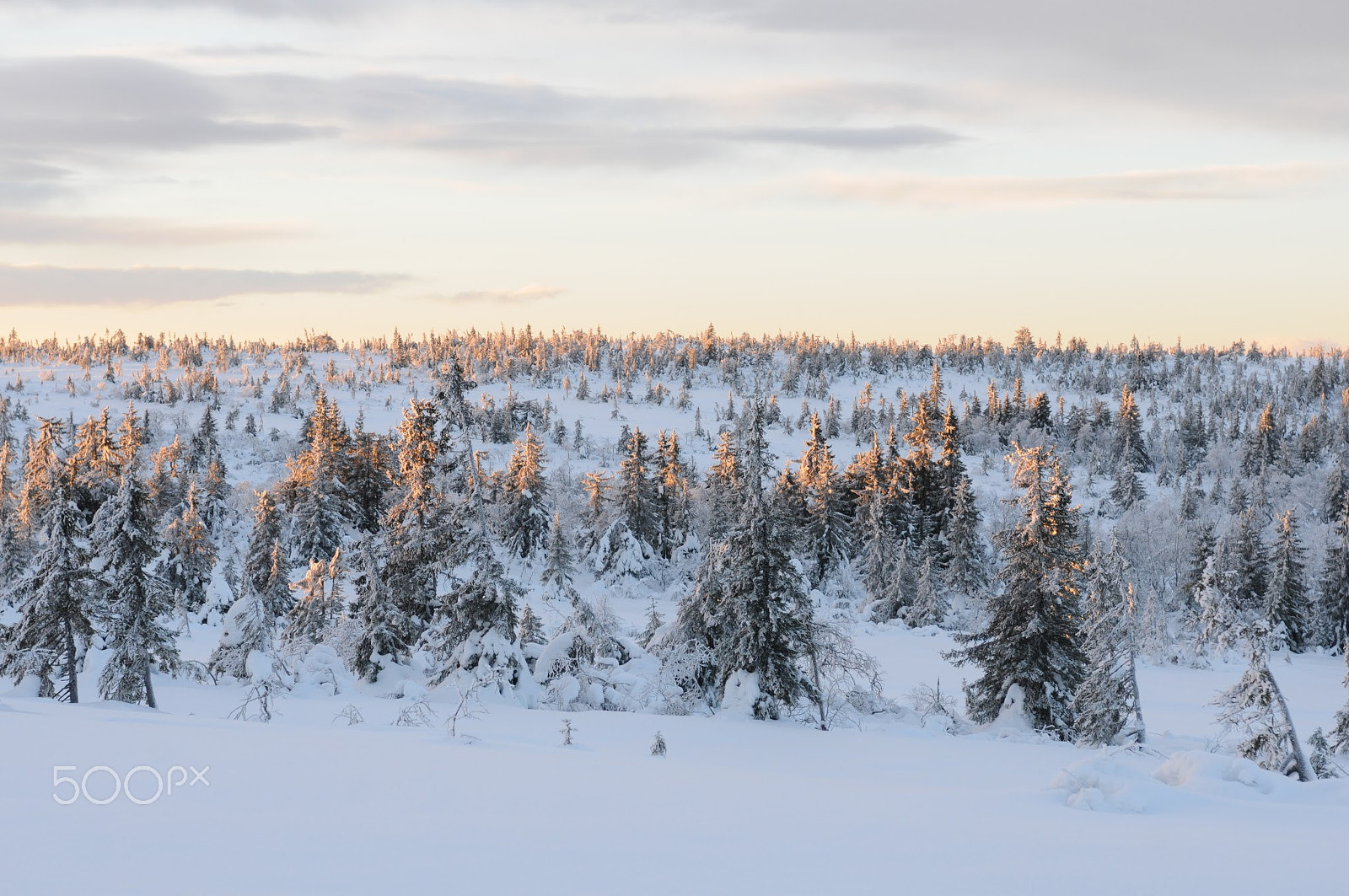Nikon D300S sample photo. Sunset stenfjellet photography