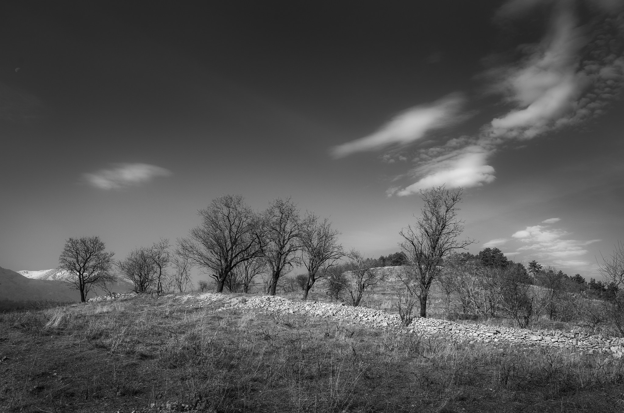 Sigma 18-250mm F3.5-6.3 DC OS HSM sample photo. Wall photography