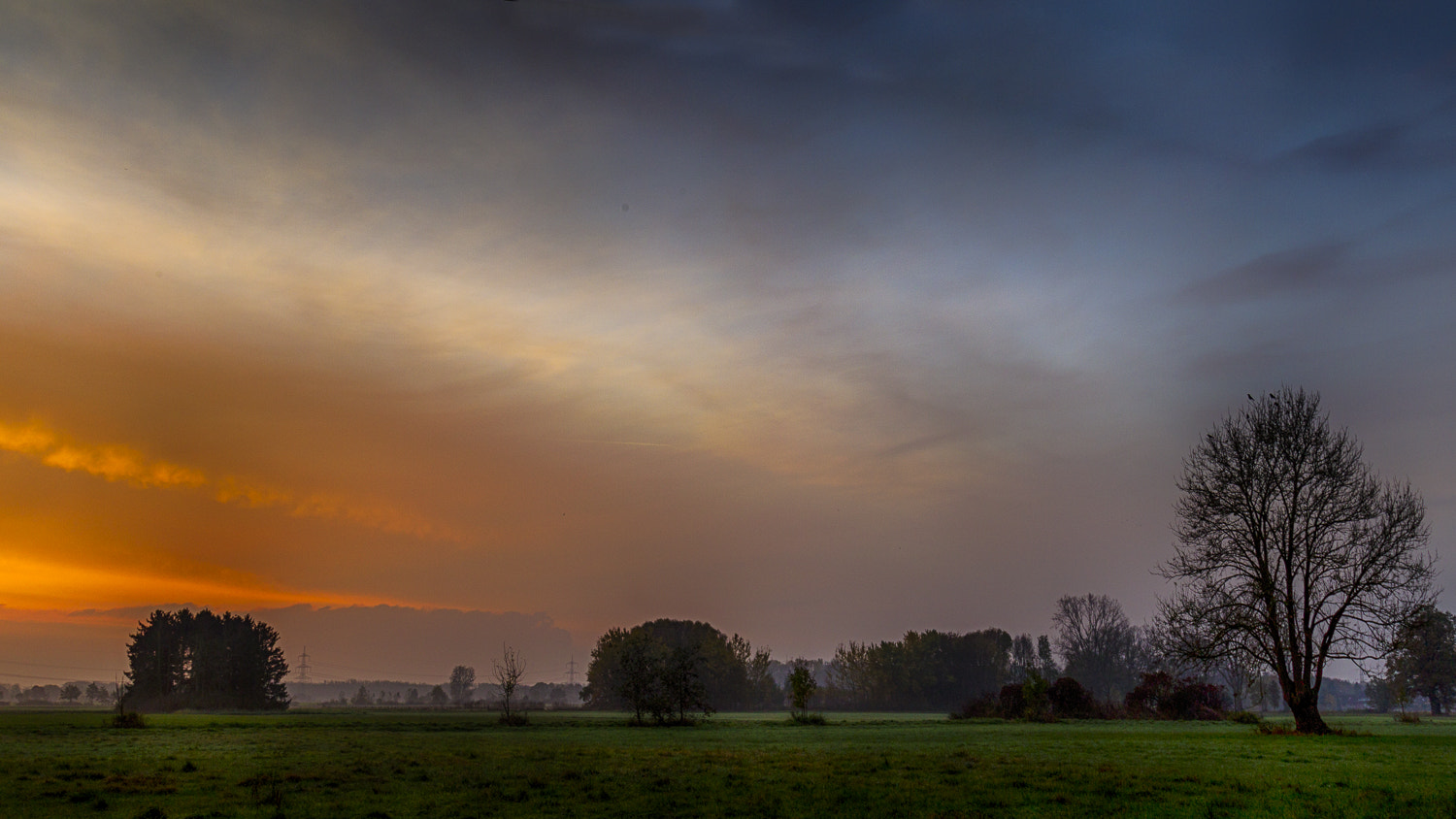 Canon EOS-1D Mark IV sample photo. Guten morgen  photography