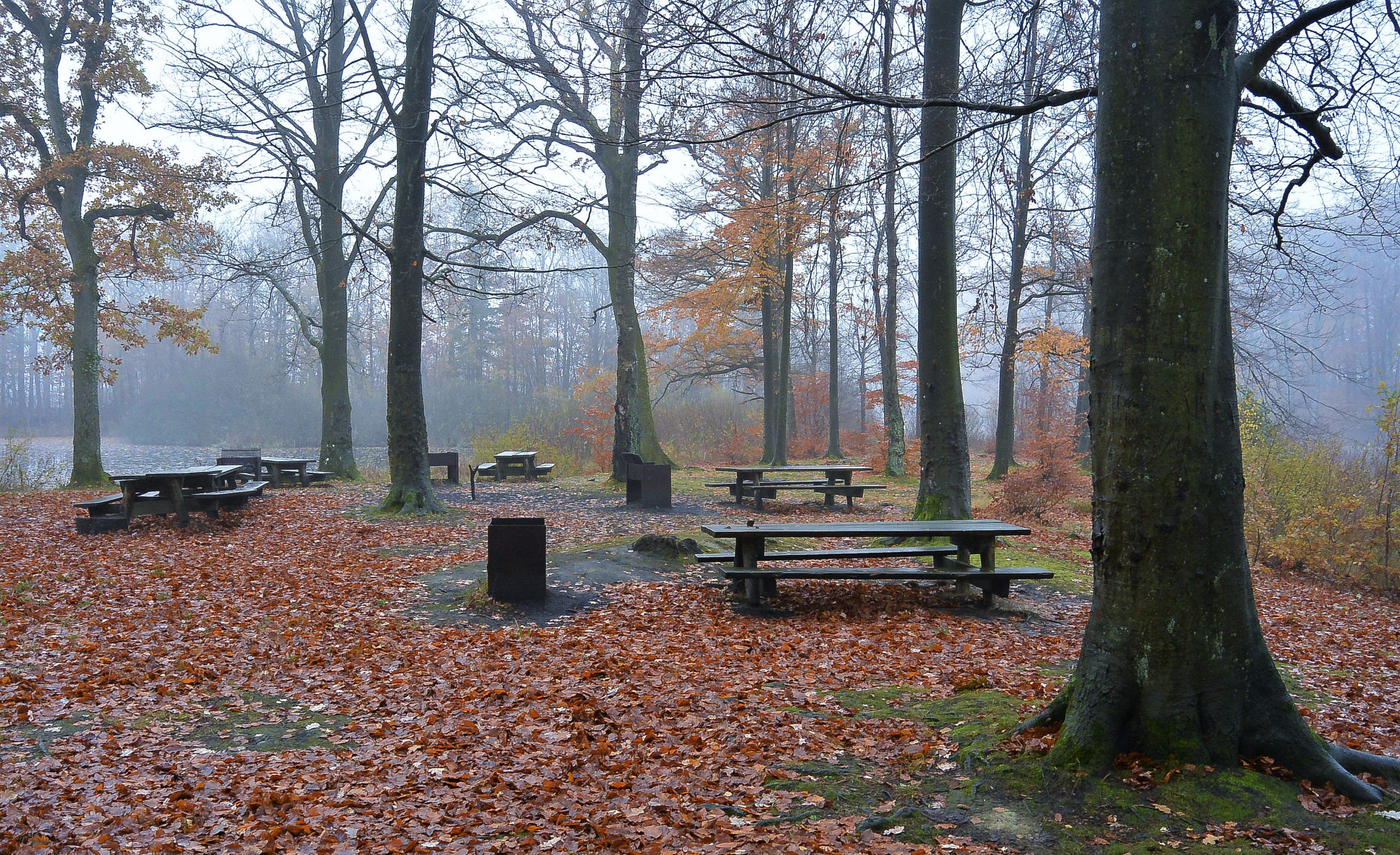 Nikon 1 Nikkor 11-27.5mm F3.5-5.6 sample photo. The picnic... photography