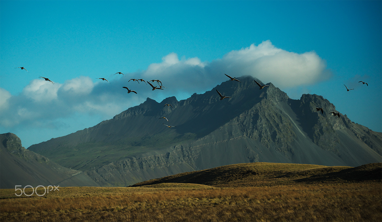 VR 70-200mm F/4.0 G sample photo. Free like a bird (iceland) photography
