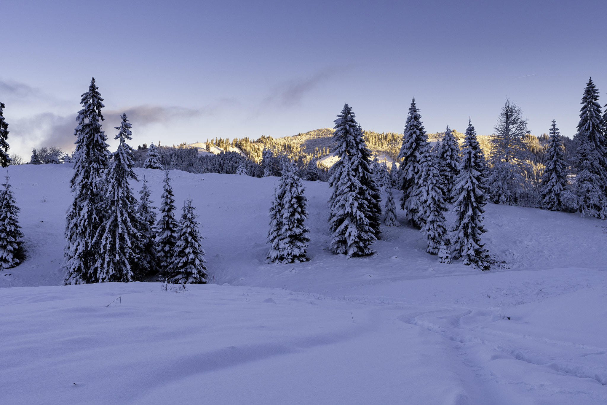 Nikon AF-S Nikkor 14-24mm F2.8G ED sample photo. Eriz richtung sichle justistal photography