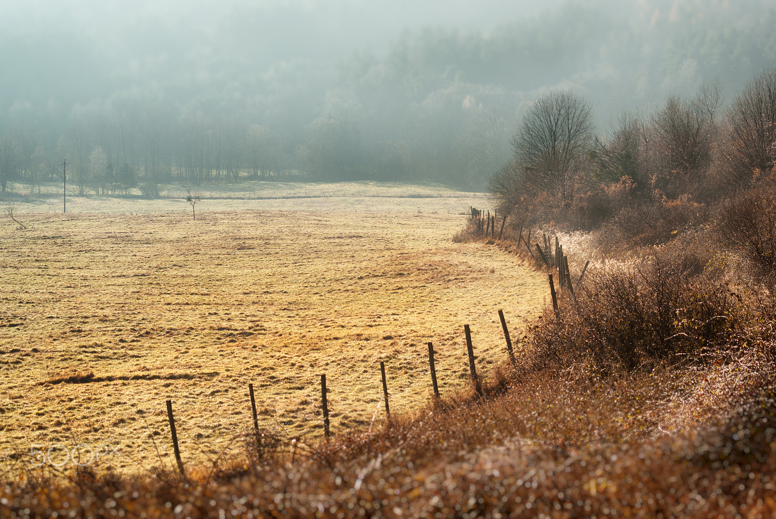 Pentax K10D sample photo. November morning photography