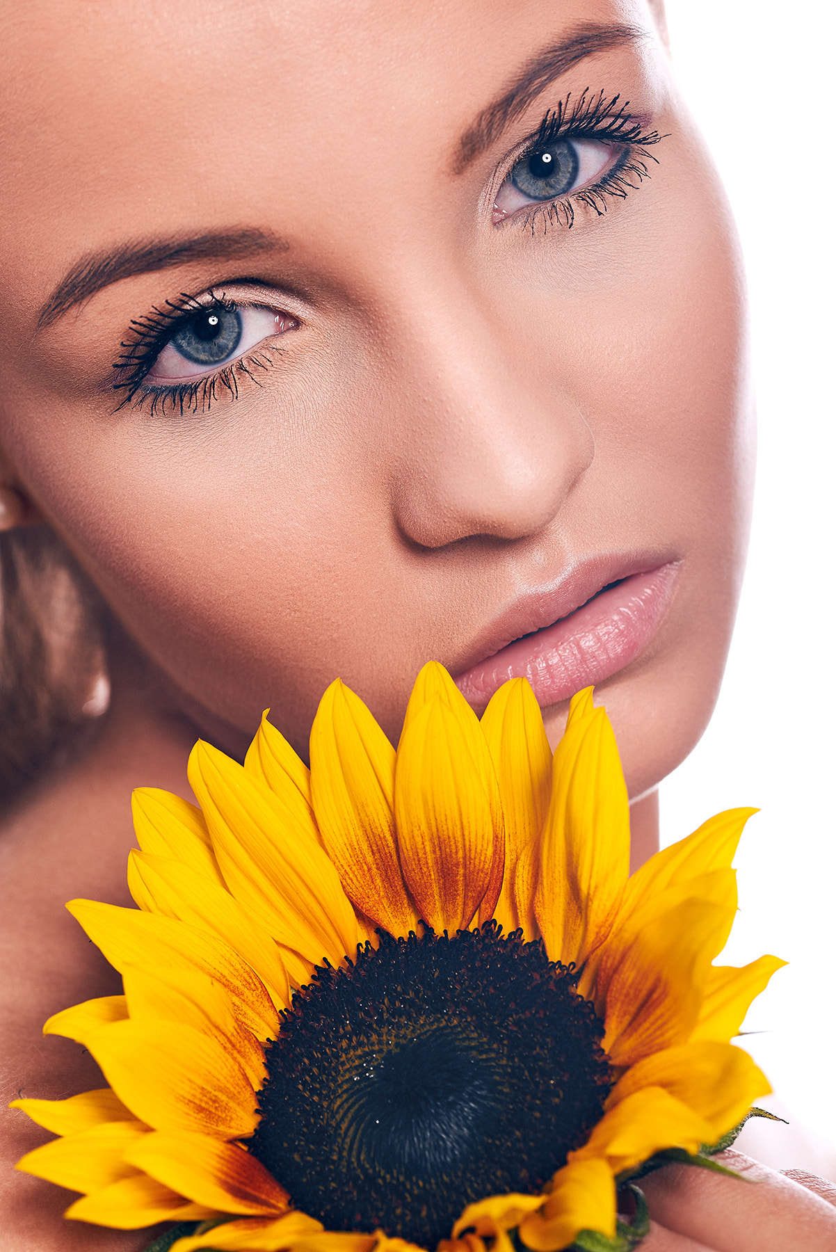 Sigma 105mm F2.8 EX DG OS HSM sample photo. Sunflower beauty photography