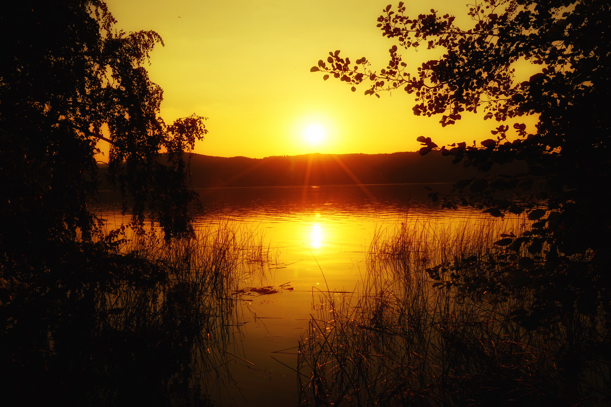 Sony a7R + Sony Vario Tessar T* FE 24-70mm F4 ZA OSS sample photo. Sonnenuntergang am laacher see photography