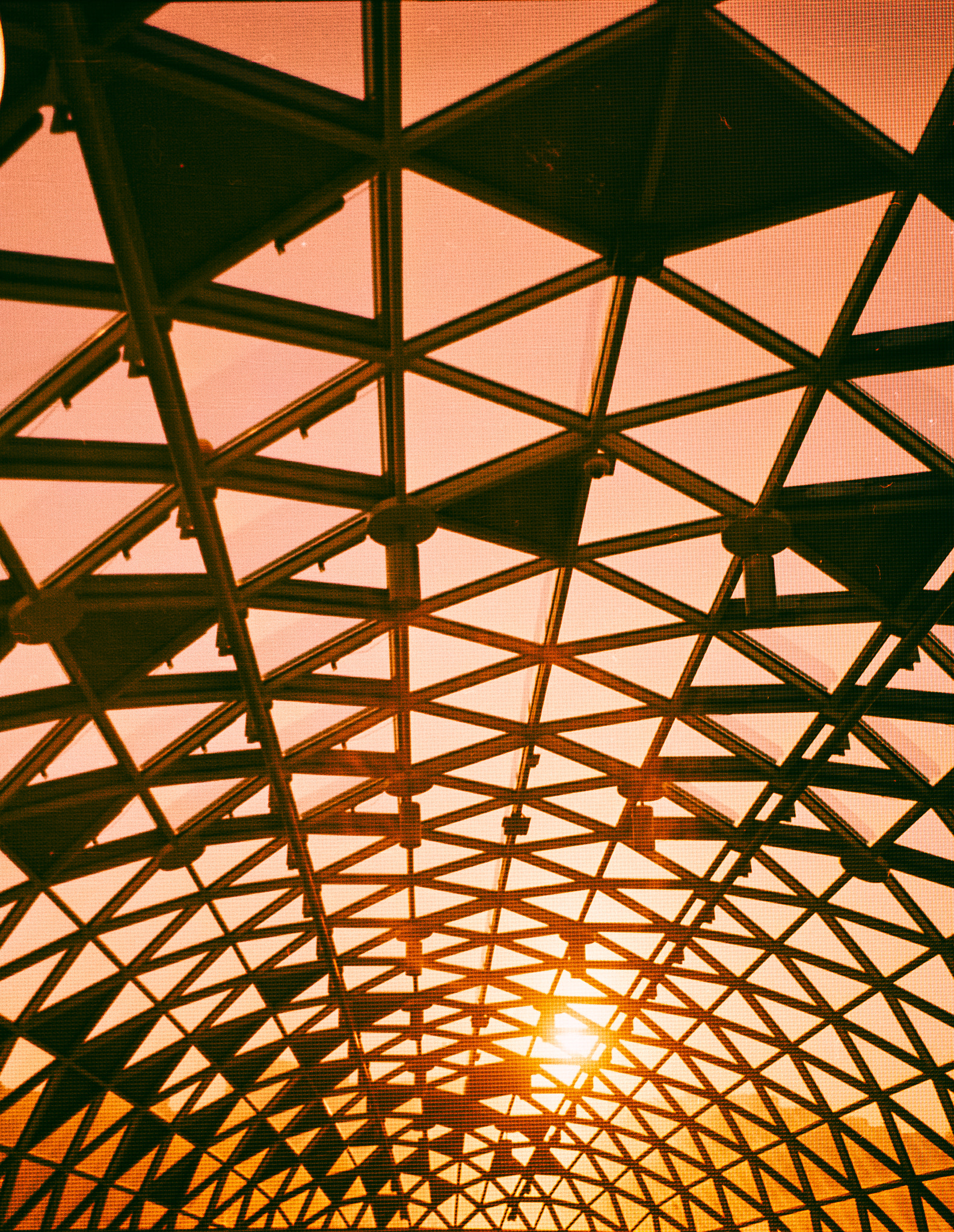 Nikon D3200 sample photo. Sunset at the nest photography