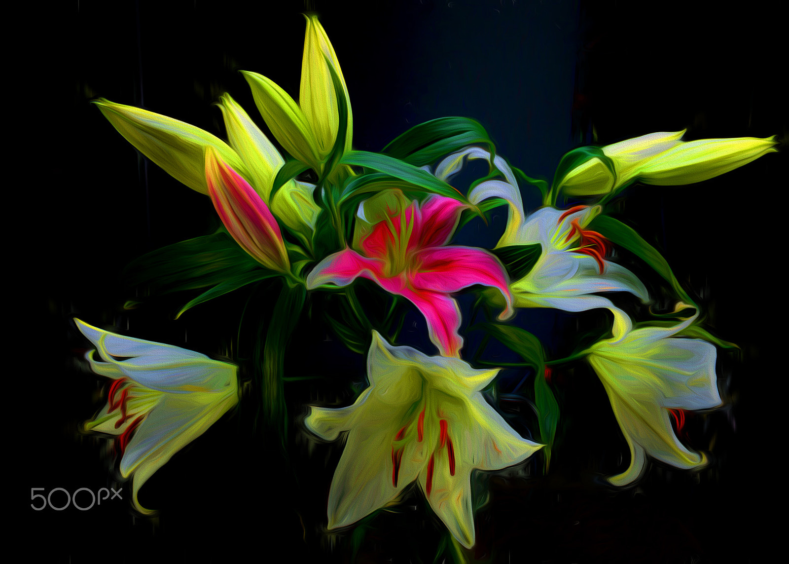 Hasselblad H4D-40 sample photo. Lily bouquet photography