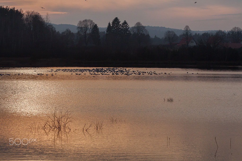 Canon EOS 50D sample photo. Sunset photography