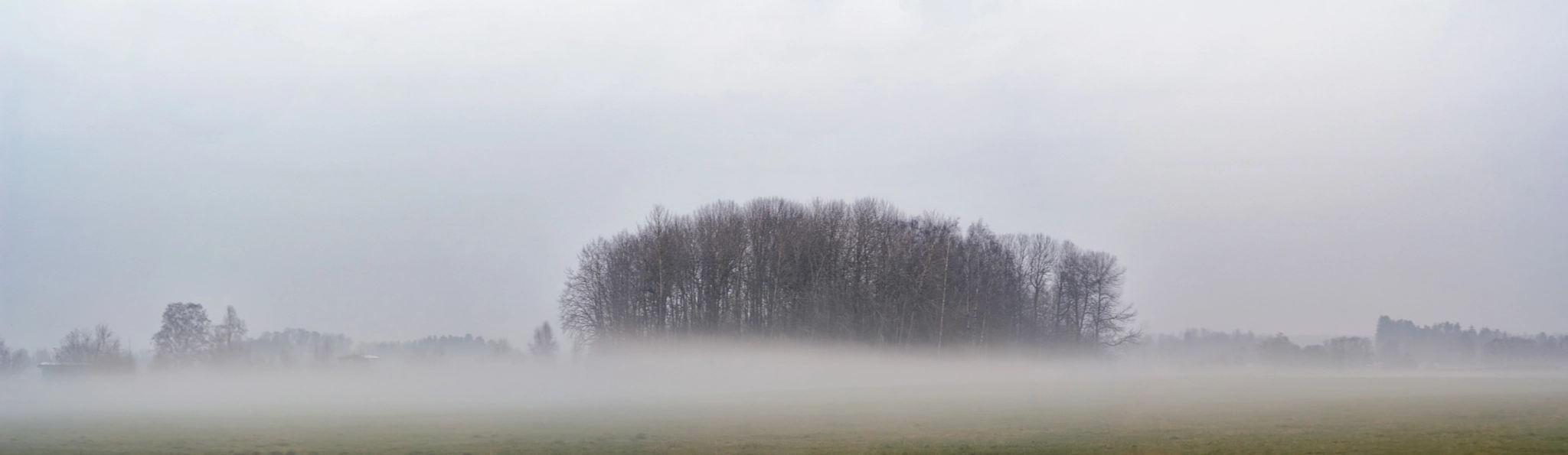 Nikon D7000 sample photo. Forest hidden in the mist photography