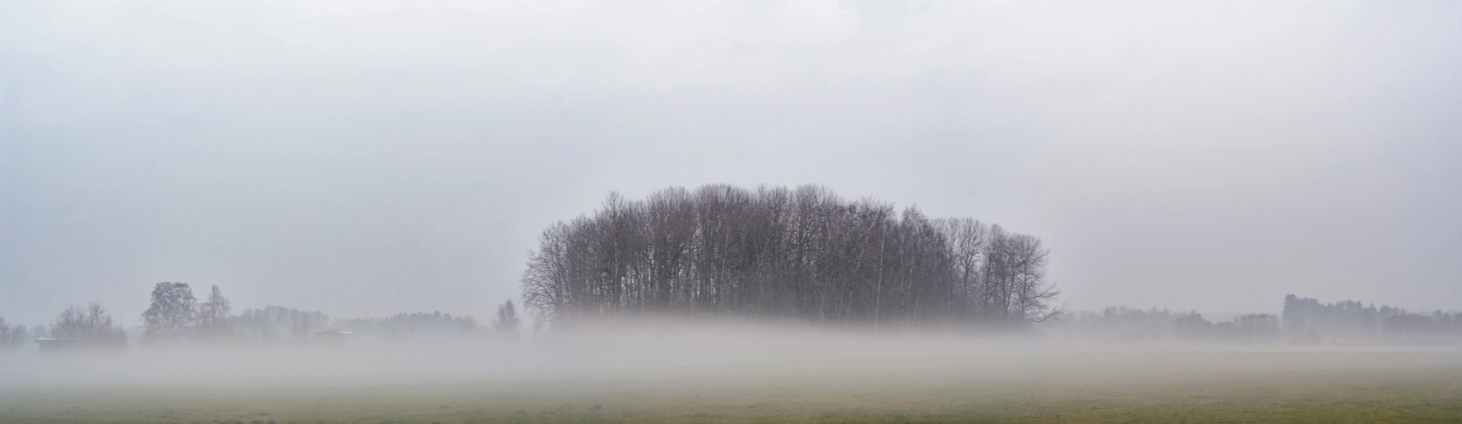 Nikon D7000 + Tokina AT-X Pro 100mm F2.8 Macro sample photo. Forest hidden in the mist photography