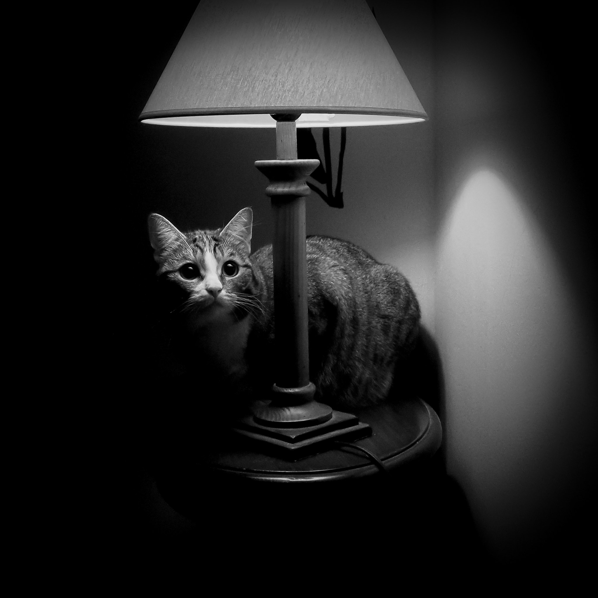 Olympus PEN E-PL5 sample photo. Closer to the light (cold lamps..) photography