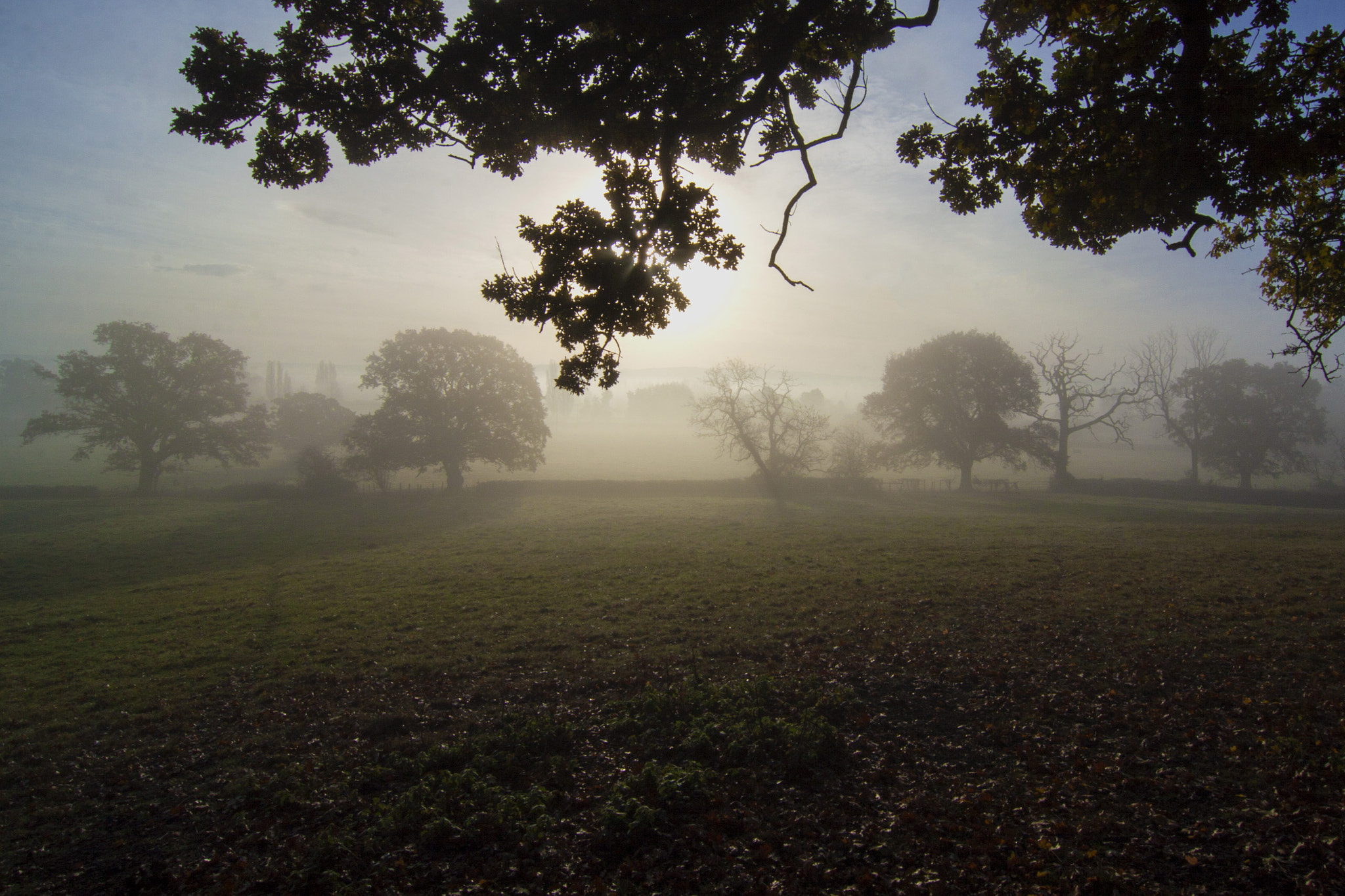 Canon EOS 50D sample photo. Another misty morning photography