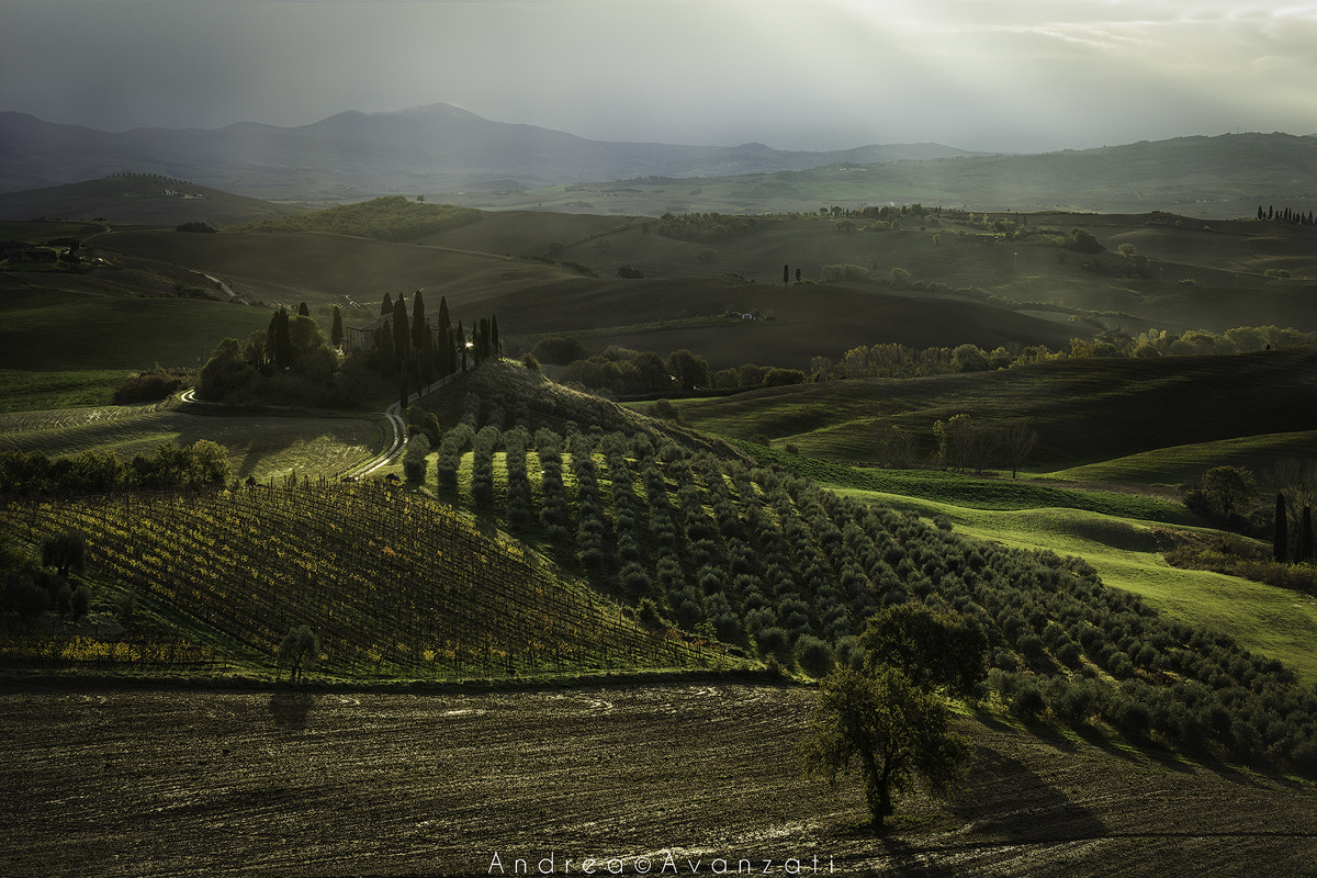 Canon EF-S 18-135mm F3.5-5.6 IS sample photo. Val d'orcia belvedere photography