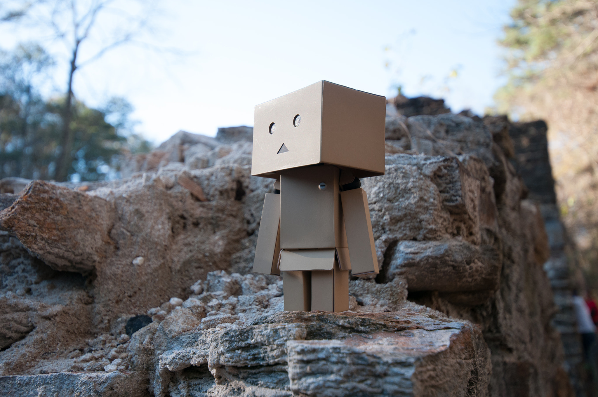 Nikon D300S sample photo. Danbo, sope creek photography