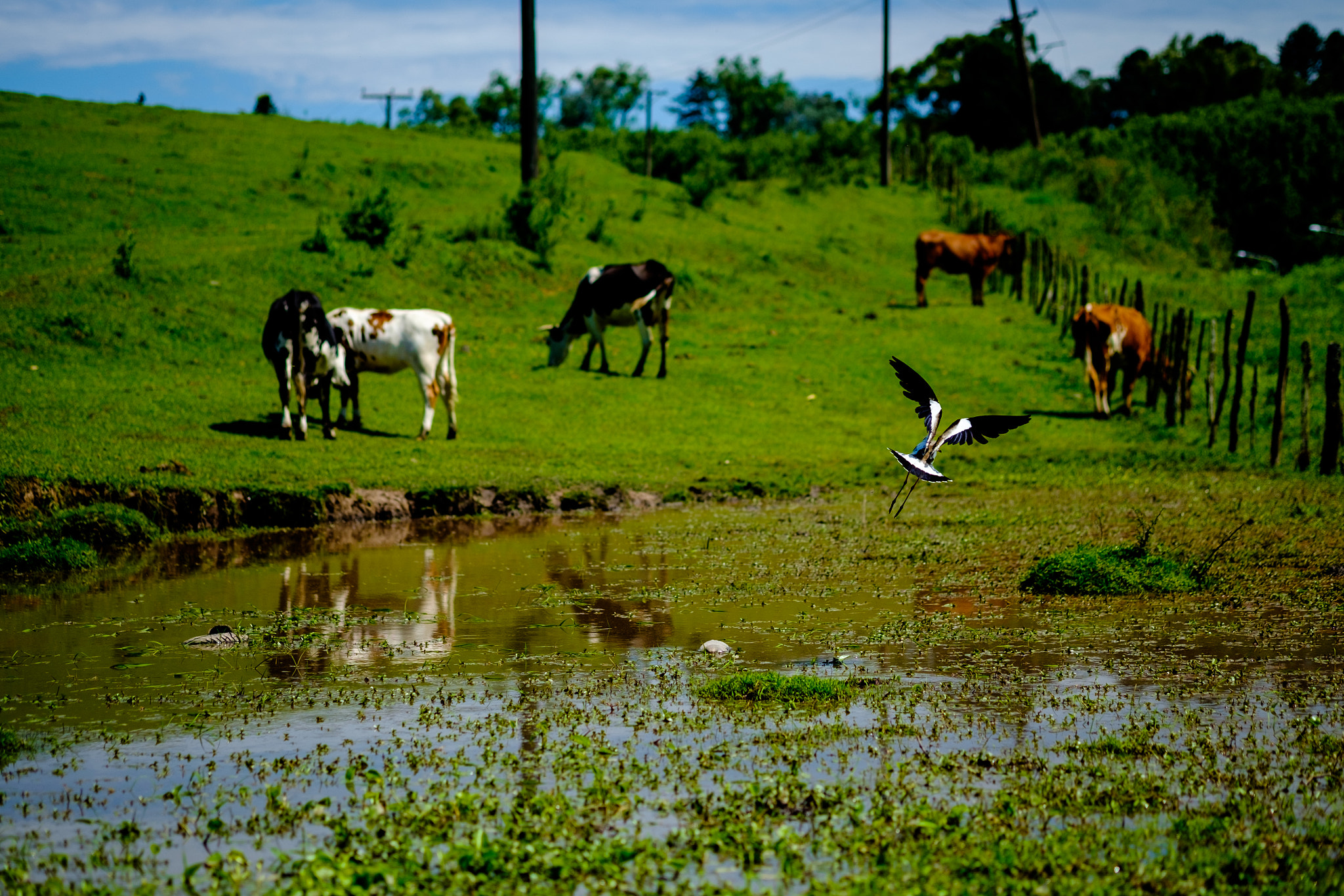 Fujifilm X-T10 sample photo. San javier hill in tucuman photography