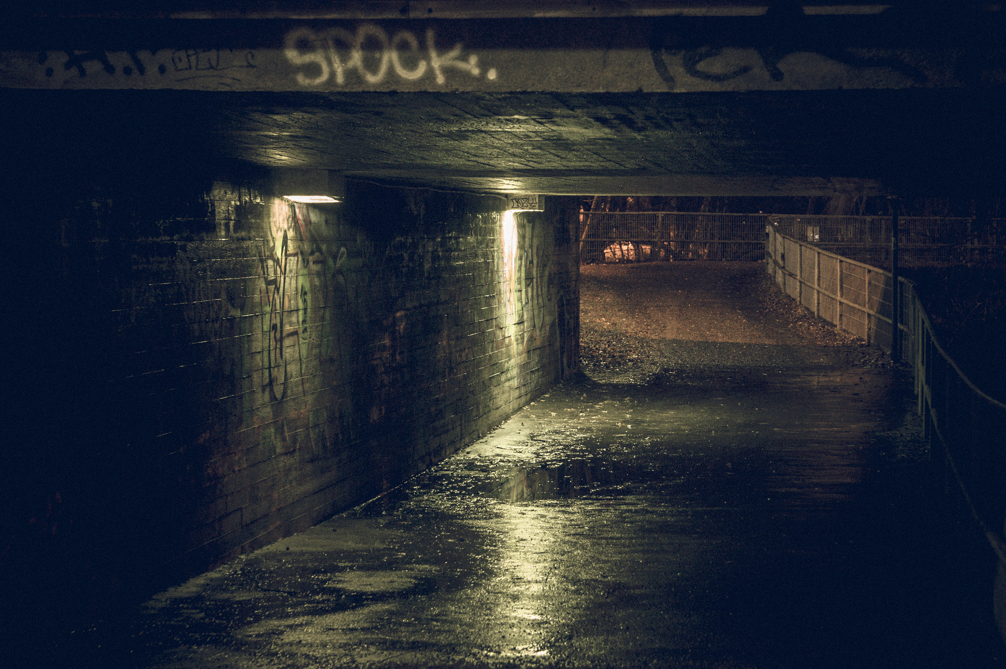 Sony Alpha NEX-6 + Sony E 55-210mm F4.5-6.3 OSS sample photo. 172/365: under a bridge photography