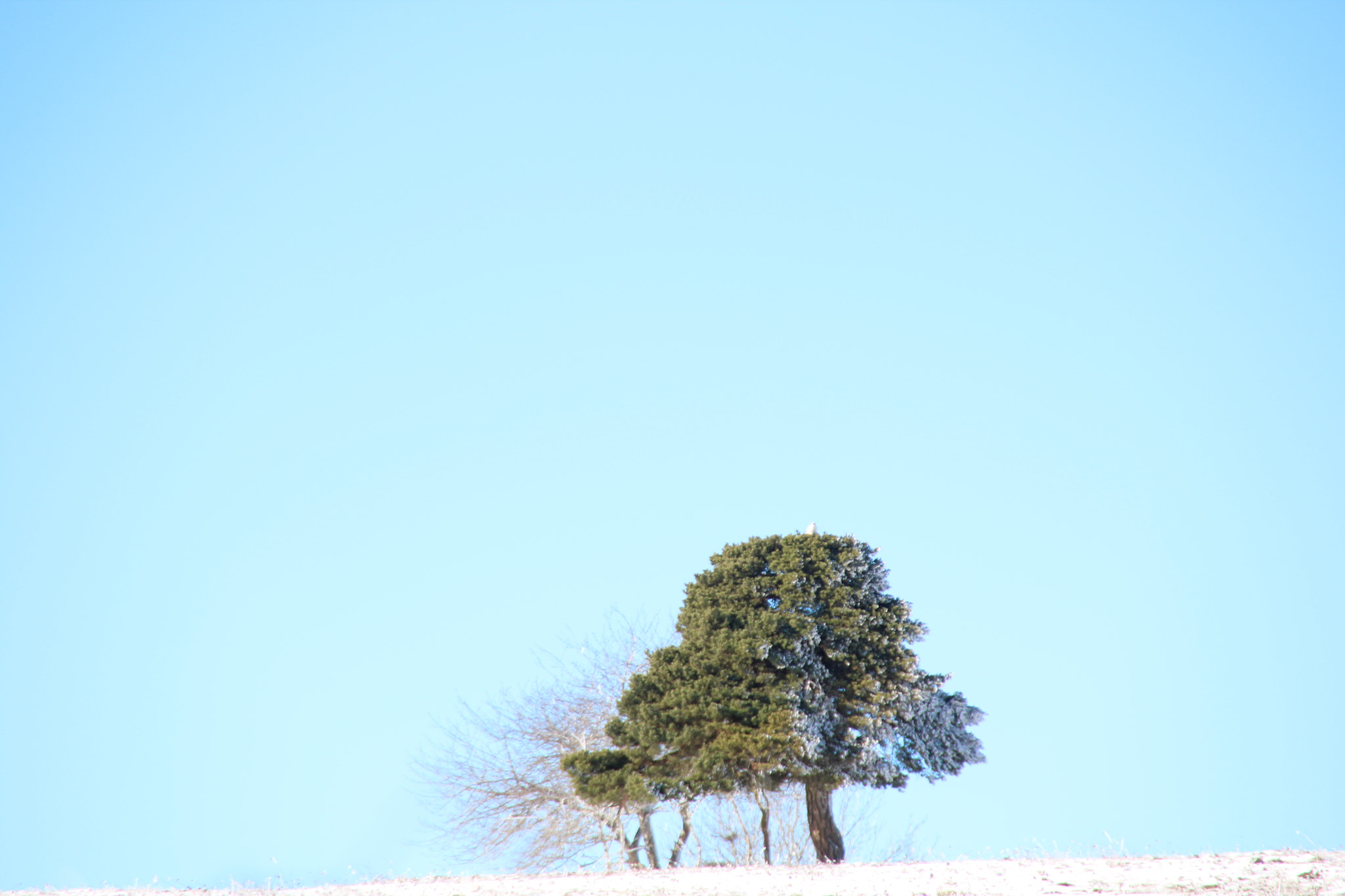 Canon EOS 1200D (EOS Rebel T5 / EOS Kiss X70 / EOS Hi) sample photo. Img photography