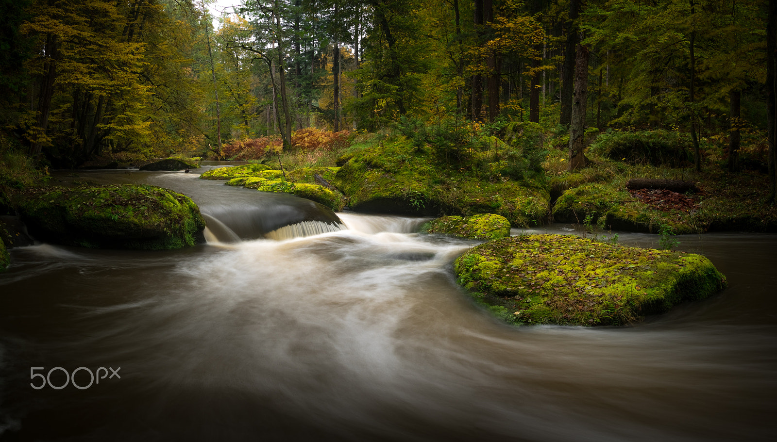 Olympus OM-D E-M1 sample photo. It's going downstream! photography