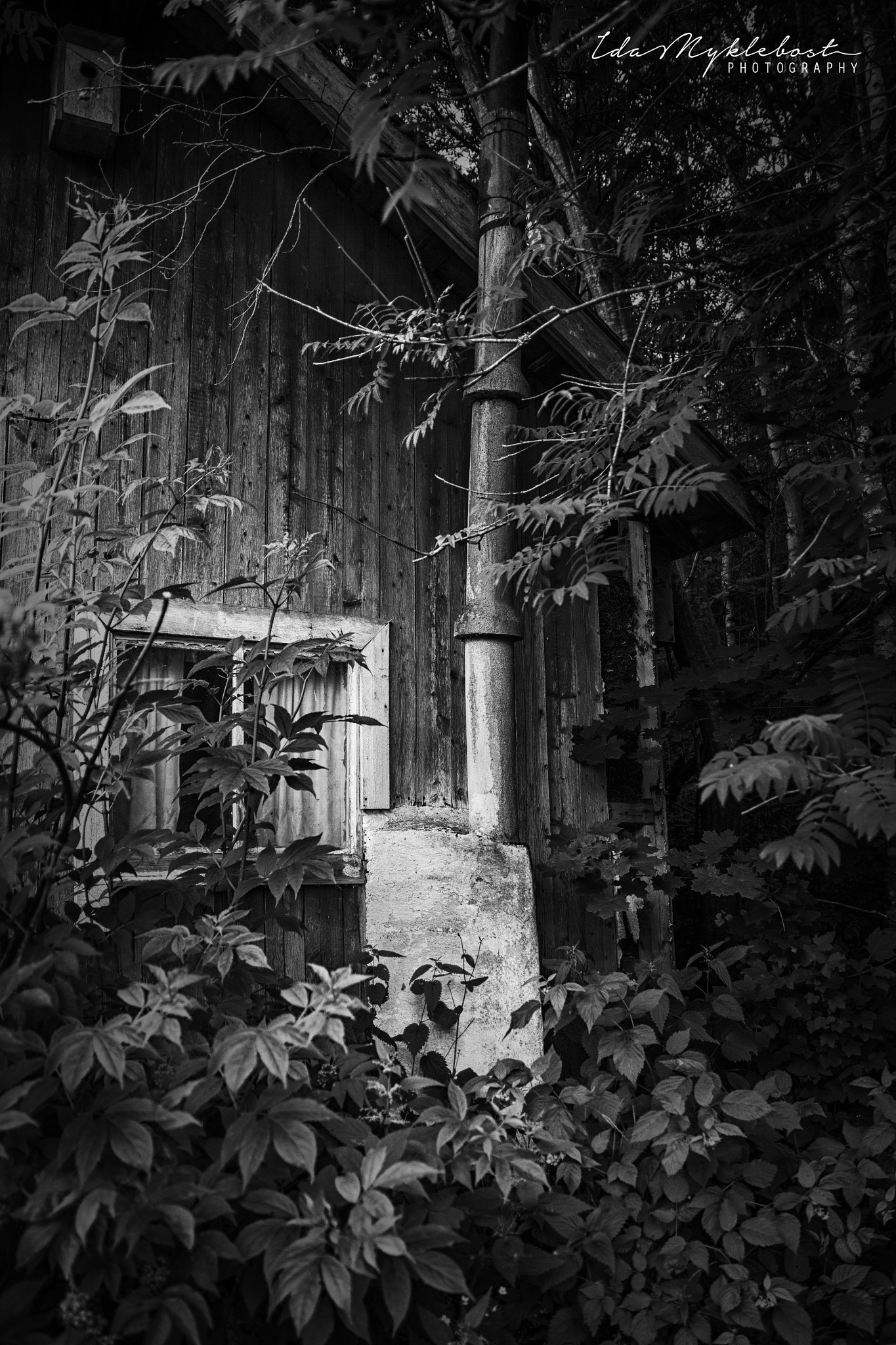 Canon EOS 60D + Sigma 18-50mm f/2.8 Macro sample photo. Black and white photography