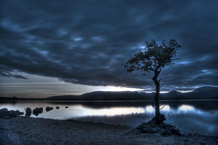 Nikon D700 + AF-S DX Zoom-Nikkor 18-55mm f/3.5-5.6G ED sample photo. Eerie solo tree - looming over the loch at milarrochy bay - loch photography