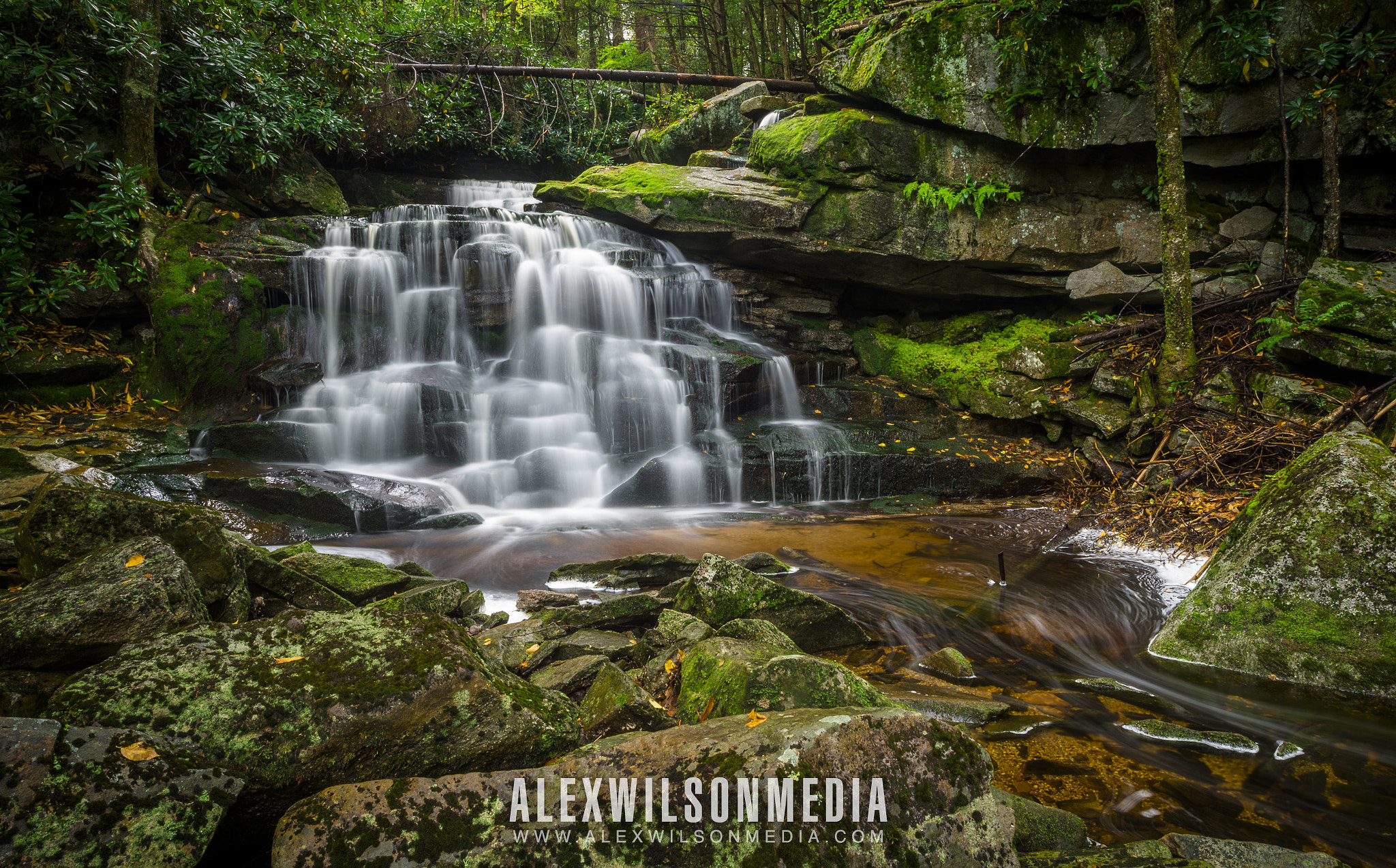 Nikon D610 sample photo. Elakala waterfall #2 photography