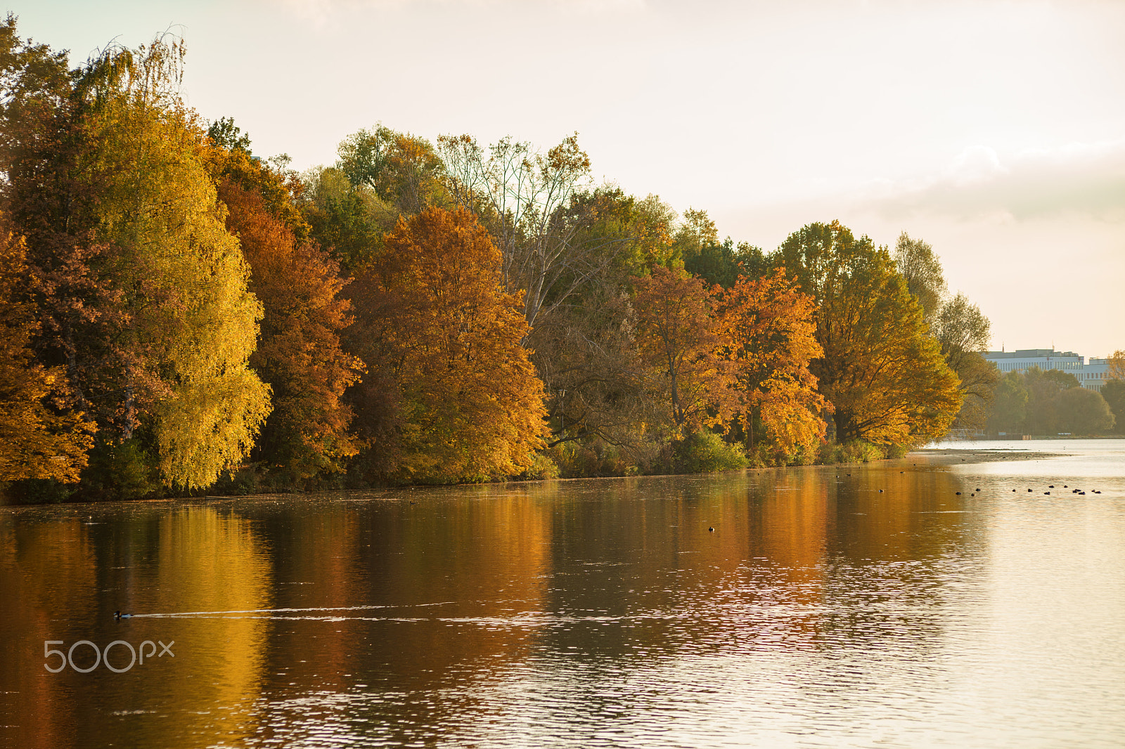 Sony a7 II sample photo. Autumn photography