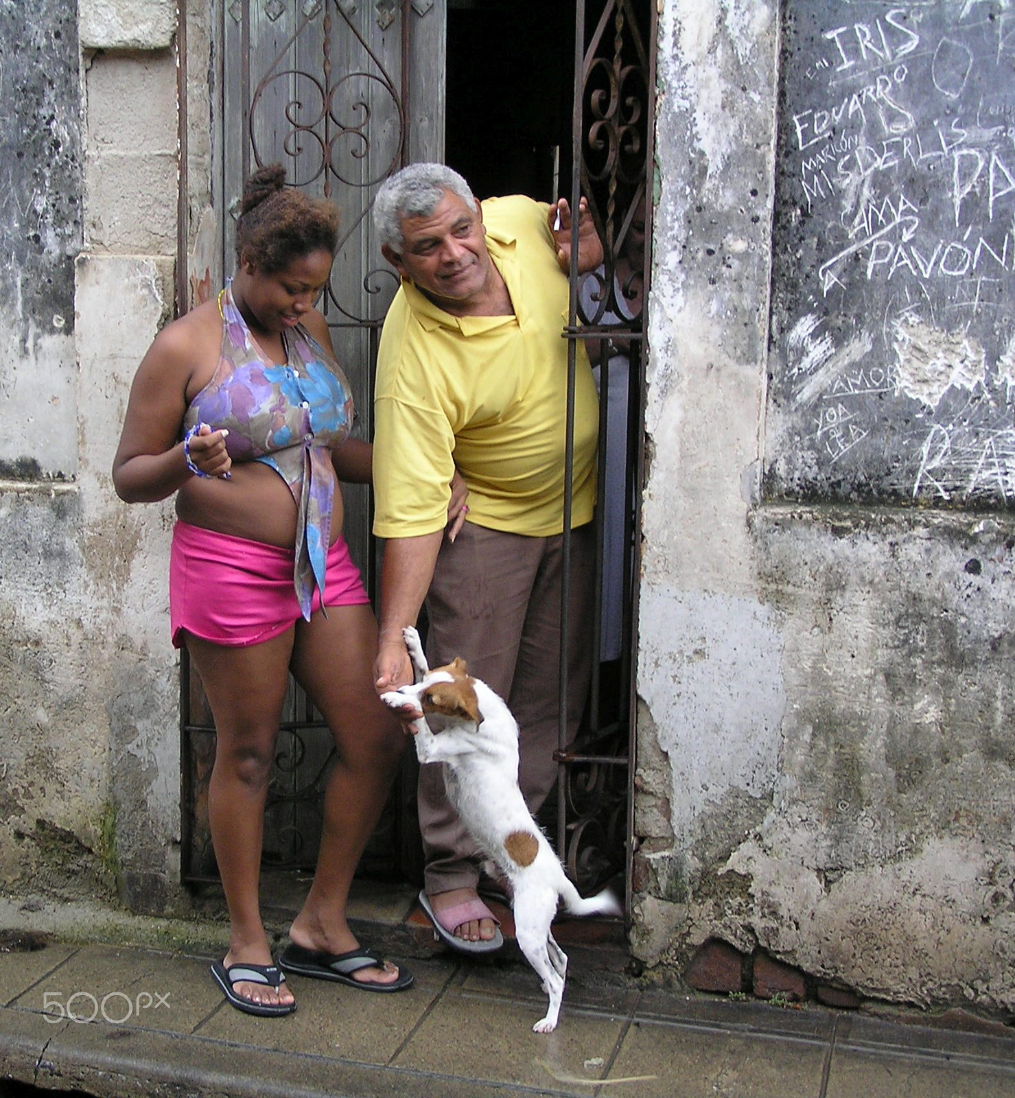 Olympus C765UZ sample photo. Family with dog photography