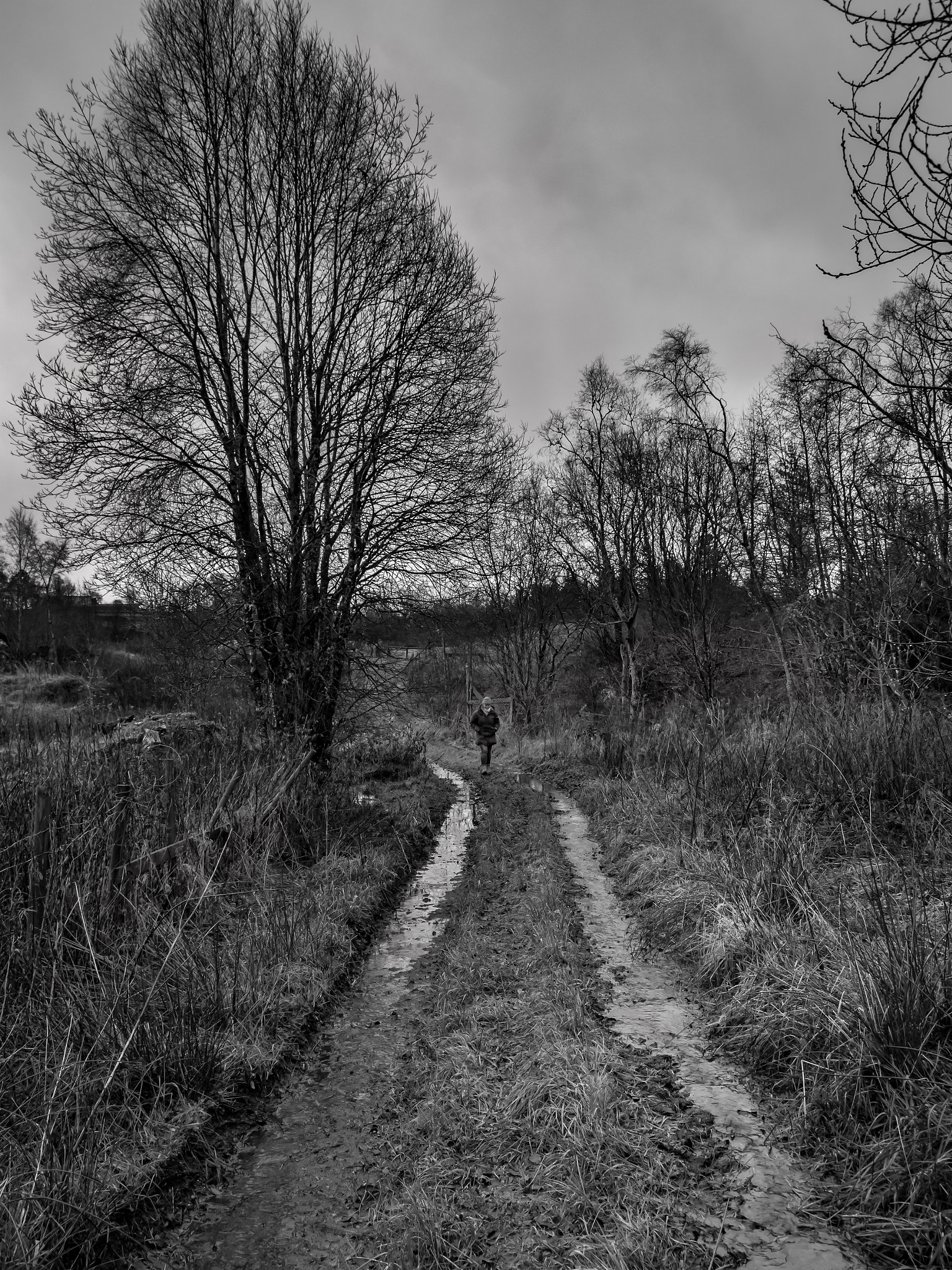 Samsung NX30 + Samsung NX 18-55mm F3.5-5.6 OIS sample photo. "down the narrow path..." photography