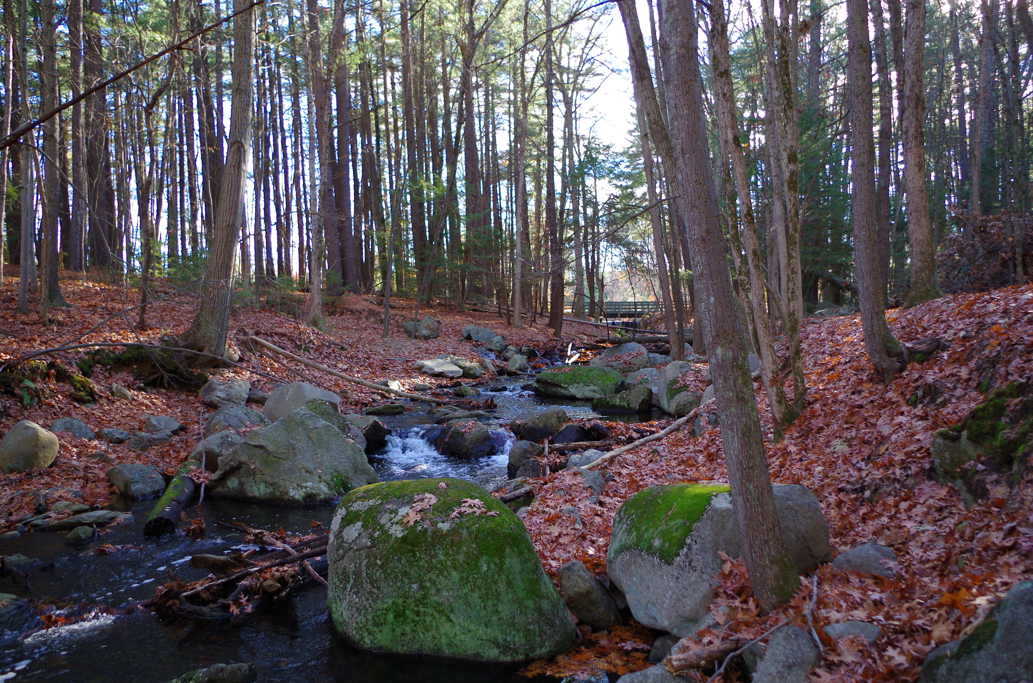 Pentax smc DA 18-55mm F3.5-5.6 AL WR sample photo. Stream in mine falls park photography