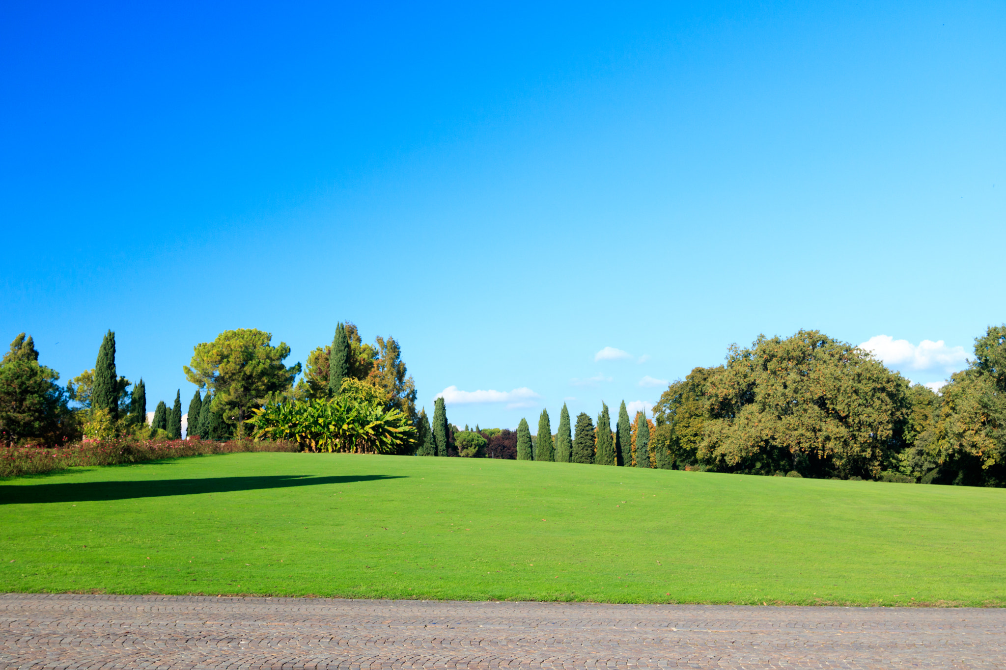 Canon EOS 760D (EOS Rebel T6s / EOS 8000D) sample photo. Sigurtà photography
